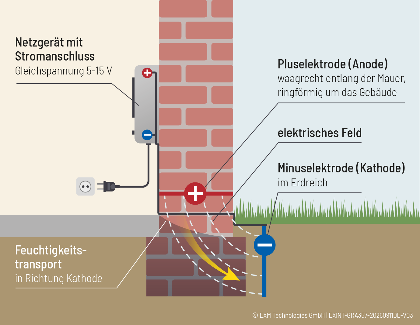 Schema der aktiven Elektroosmose mit Anode im Mauerwerk und Kathode im Erdreich