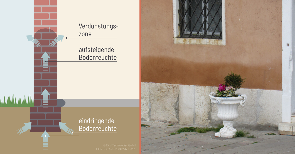 Schnitt durch ein Mauerwerk mit aufsteigender Bodenfeuchte und Verdunstungszone